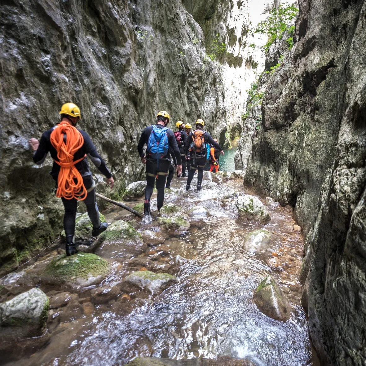 Équipe en séminaire face aux paysages de La Réunion