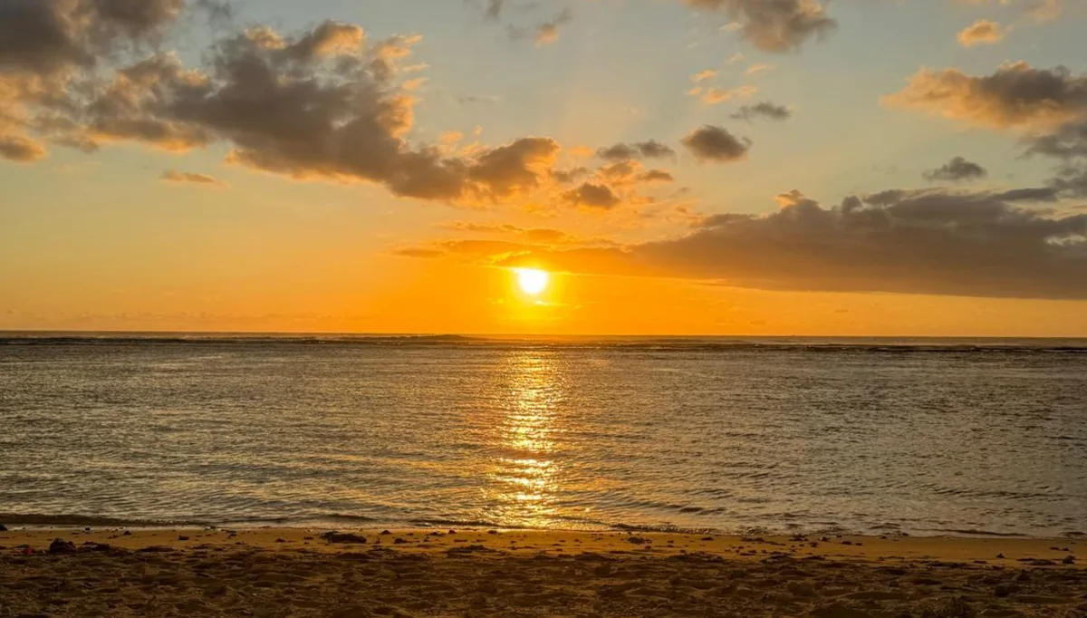 L'île multiple — immersion à La Réunion
